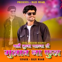 Raju Wagh featuring Gayatri Rajput - Pari Tuna Padna Ye  Gulab Na Phul