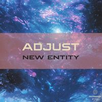 Adjust - New Entity
