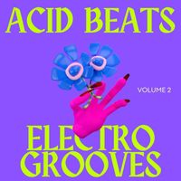 Various Artists - Acid Beats Electro Grooves, Vol.2