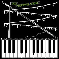 Vazz - Anatomy Of A Piano