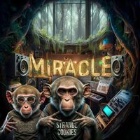 Strange Cookies - Miracle