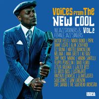 Various Artists - Voices From The New Cool Vol. 2 (Nu Jazz Crooners & Female Jazz Singers)