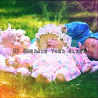 Smart Baby Lullaby - 37 Embrace Your Sleep