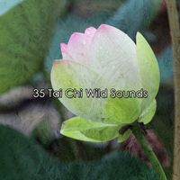 Yoga - 35 Tai Chi Wild Sounds