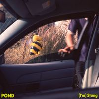 Pond - (I’m) Stung