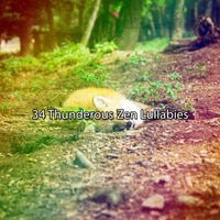 Rain Sounds Nature Collection - 34 Thunderous Zen Lullabies