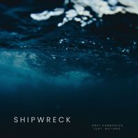 Grey Harmonics feat. Nuitarie - Shipwreck