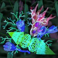 Rew - Garden of Astral Blooms