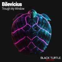 Bilevicius - Trough My Window