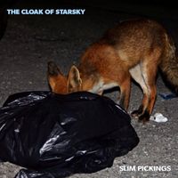The Cloak Of Starsky - Slim Pickings