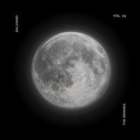 Salviano - The Remixes Vol. 03