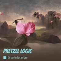 Gilberto Mcintyre - Pretzel Logic (Acoustic)