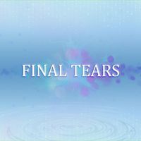 Radu Petru Petica - Final Tears