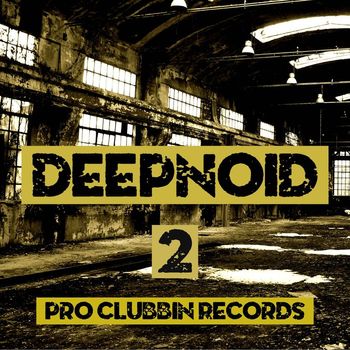 Various Artists - Deepnoid, Vol. 2