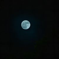 Vudu - Blue Moon (Explicit)
