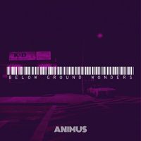 Animus - Below Ground Wonders