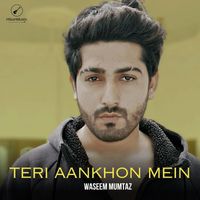 Waseem Mumtaz - Teri Aankhon Mein