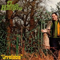 Jade Hairpins - Unreliable