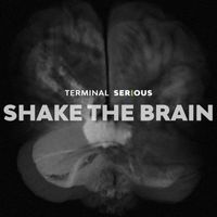 Terminal Serious - Shake the Brain
