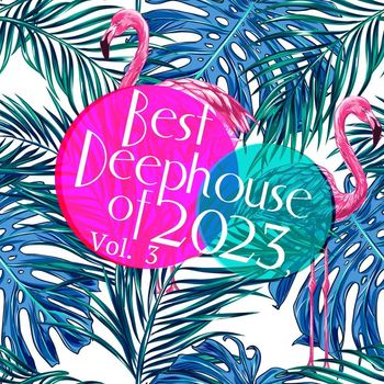Various Artists - Best of Deephouse 2023, Vol. 3