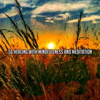Japanese Relaxation and Meditation - 56 Healing With Mindfullness And Meditation