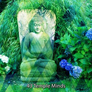 Yoga - 43 Temple Minds