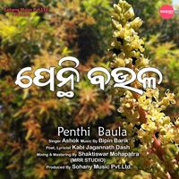 Ashok - Penthi Baula