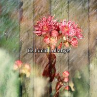 Soothing White Noise for Relaxation - 62 Lucid Lullabye