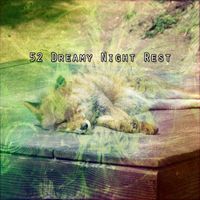 Baby Music - 52 Dreamy Night Rest