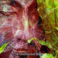 Nature Sounds Artists - 38 Unchained Mind
