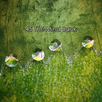 Lullabies for Deep Meditation - 45 The Mind Bank