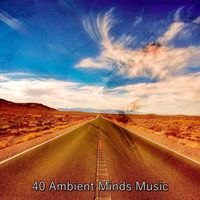 White Noise Research - 40 Ambient Minds Music