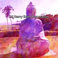 Meditation Zen Master - 36 Heavy Exam Preperation