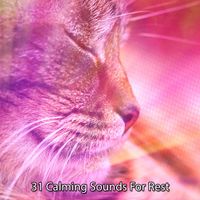 Baby Sleep Through the Night - 31 Calming Sounds For Rest