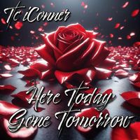 TCiConner - Here today gone tomorrow