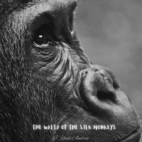 J. Raúl Andreo - The Waltz of the Silk Monkeys