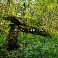 Ocean Waves for Sleep - 70 A World Of Sound