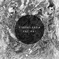 Strobelepsia - Fat Rat