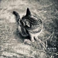 Matt Sour - Kitten