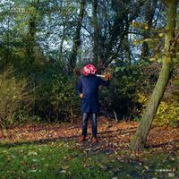 Love Over Entropy - Tonii