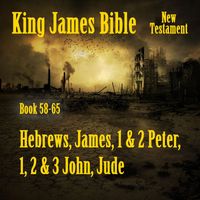 David Z. Goode - King James Bible, Book 58-65: Hebrews, James, 1 & 2 Peter, 1, 2 & 3 John, Jude