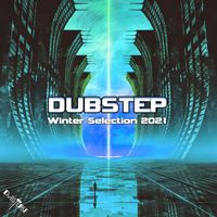 DoctorSpook, Dubstep Spook, Dubstep - Dubstep Winter Selection 2021 (Explicit)
