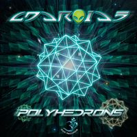 Androids - Polyhedrons