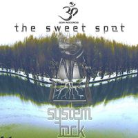 System Lock - The Sweet Spot