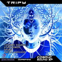 Tripy - Cosmic Sounds