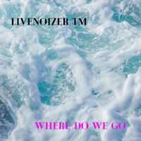 LivenoizerTM - Where Do We Go