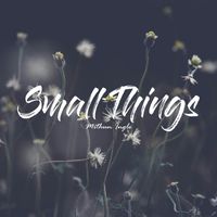 Mithun Ingle - Small Things