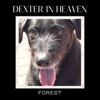 Forest - Dexter in Heaven