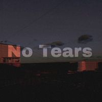 Stormzy - No Tears