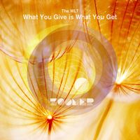 The WLT - What You Give Is What You Get